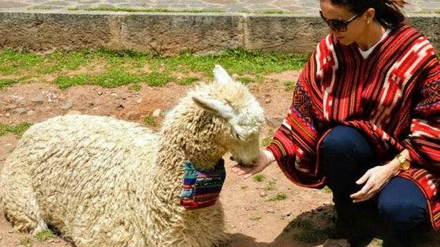 Be ALPACA: clothing and alpaca wool products shop